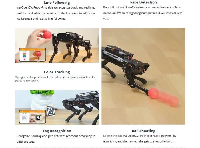 ai Vision Quadruped Robot Standard kit