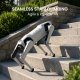DOBOT Rover X1 Air Quadruped Robot Dog | Beginner Friendly AI Robotic Companion, 4-Leg Robot with Autonomous Follow, Graphical Block Programming, Dog Walking Mode, 30° Climbing