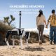 DOBOT Rover X1 Air Quadruped Robot Dog | Beginner Friendly AI Robotic Companion, 4-Leg Robot with Autonomous Follow, Graphical Block Programming, Dog Walking Mode, 30° Climbing